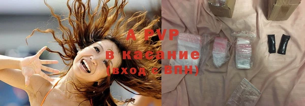 сатива Кинешма