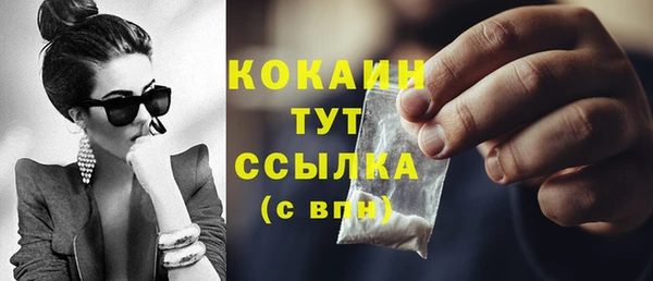 сатива Кинешма