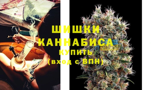 сатива Кинешма