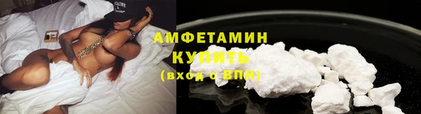 сатива Кинешма