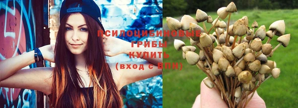бутират Киреевск