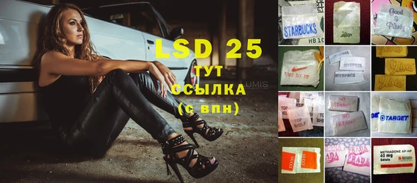 сатива Кинешма