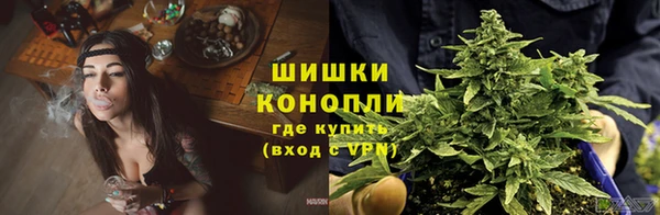 сатива Кинешма