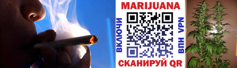Конопля семена  Купить  Баксан 